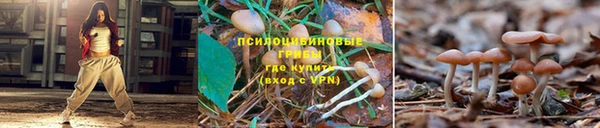 марки lsd Ельня