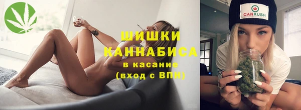 амф Заволжье
