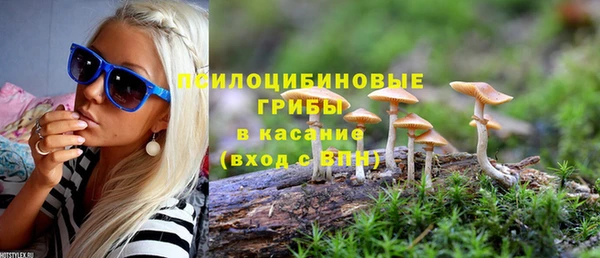 амф Заволжье
