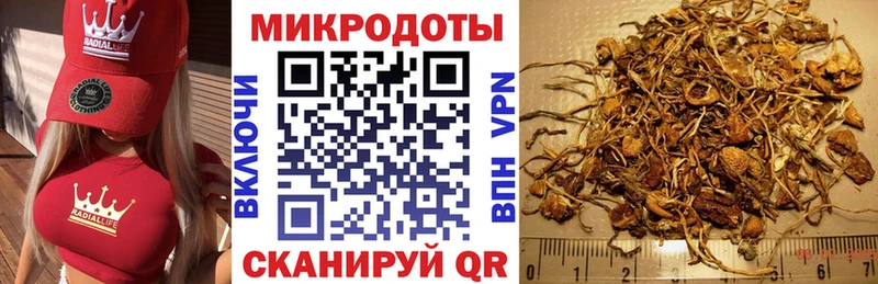 Псилоцибиновые грибы Psilocybine cubensis  Купить закладки  Шадринск 